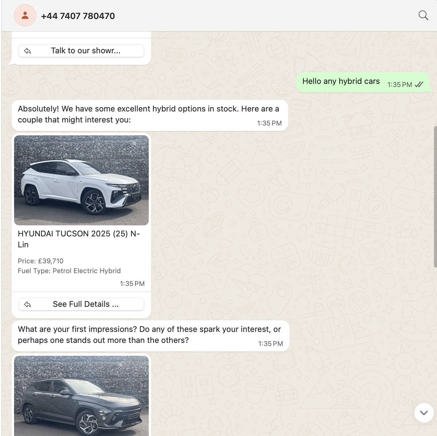 WhatsApp conversation example 2